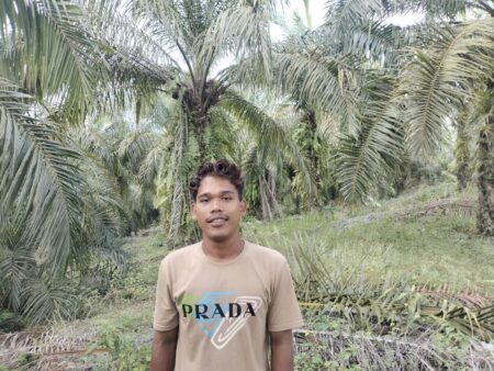 Harga TBS Sawit di Panton Rayeuk T Rp 2.100 Per Kg