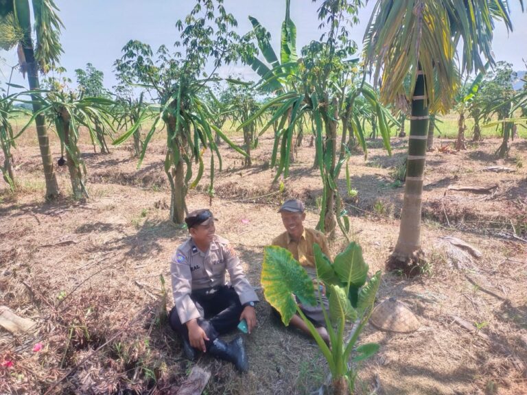 Bhabinkamtibmas Polsek Serbajadi Motivasi Warga Manfaatkan Lahan Kosong