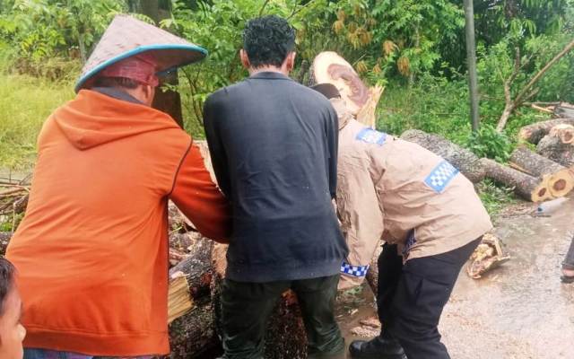 Sigap dan Tanggap, Personil Polsek Pantee Bidari Bersama Warga Bersihkan Pohon Tumbang